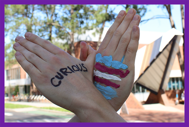 Hands forming a butterfly. On one wing they have the trans flag painted on the other one it reads "Curious."